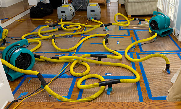 Professional Crawl Space Water Removal technician working in Montague, MA
